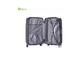 Shell Suitcase dure lisse spacieuse, bagage de chariot à fileur